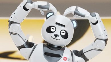 UBTECH Panda Robot humanoid robot ile yapay zekâ temelli eğitim ve etkileşim